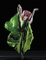 10 Jahre Donlon Dance Company: Eine Retrospektive